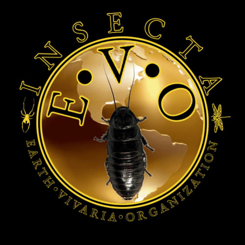 Insecta Evo LLC